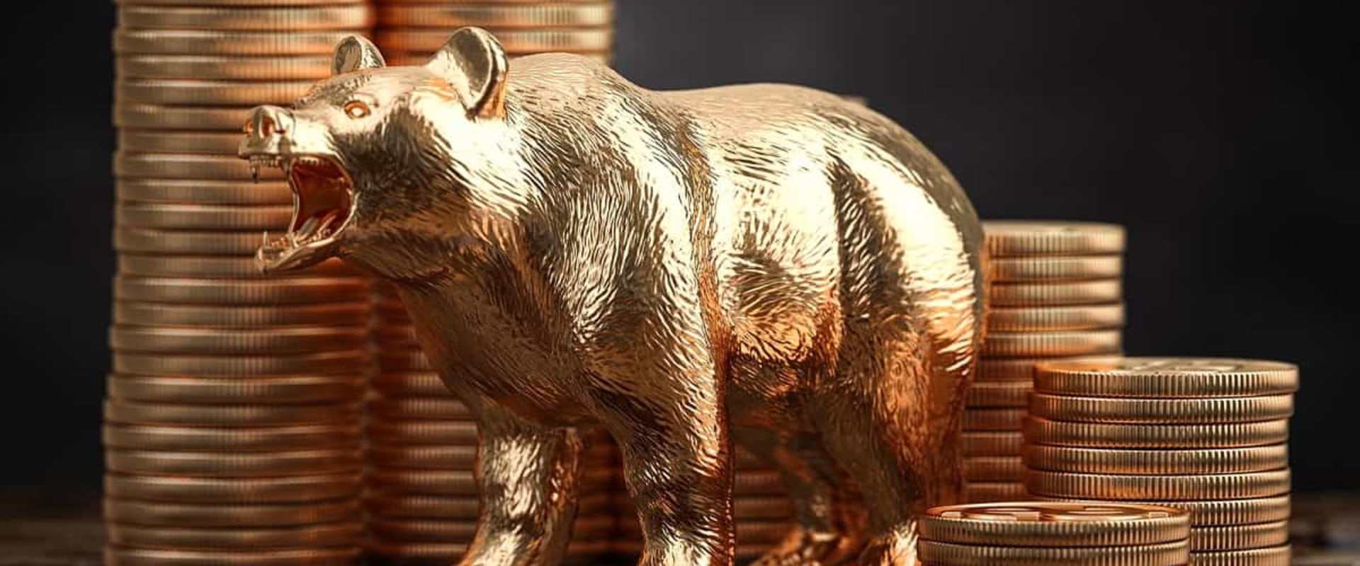 How Long Does a Bear Market Last? An Expert's Perspective