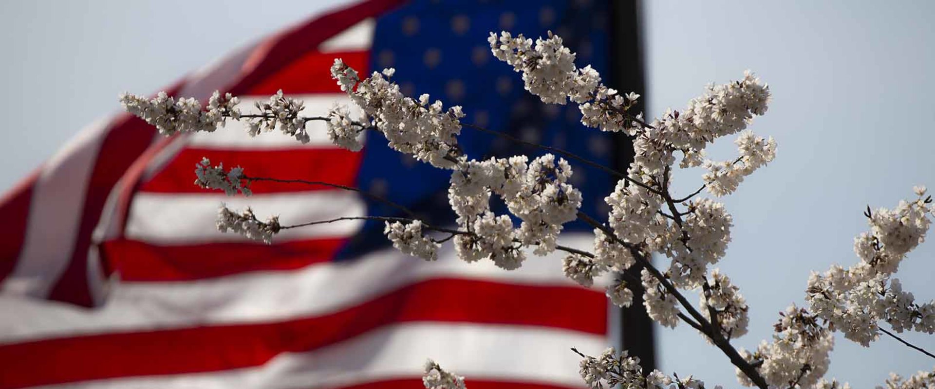 What You Need to Know About Stock Market Holidays