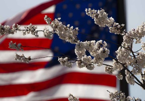 What You Need to Know About Stock Market Holidays